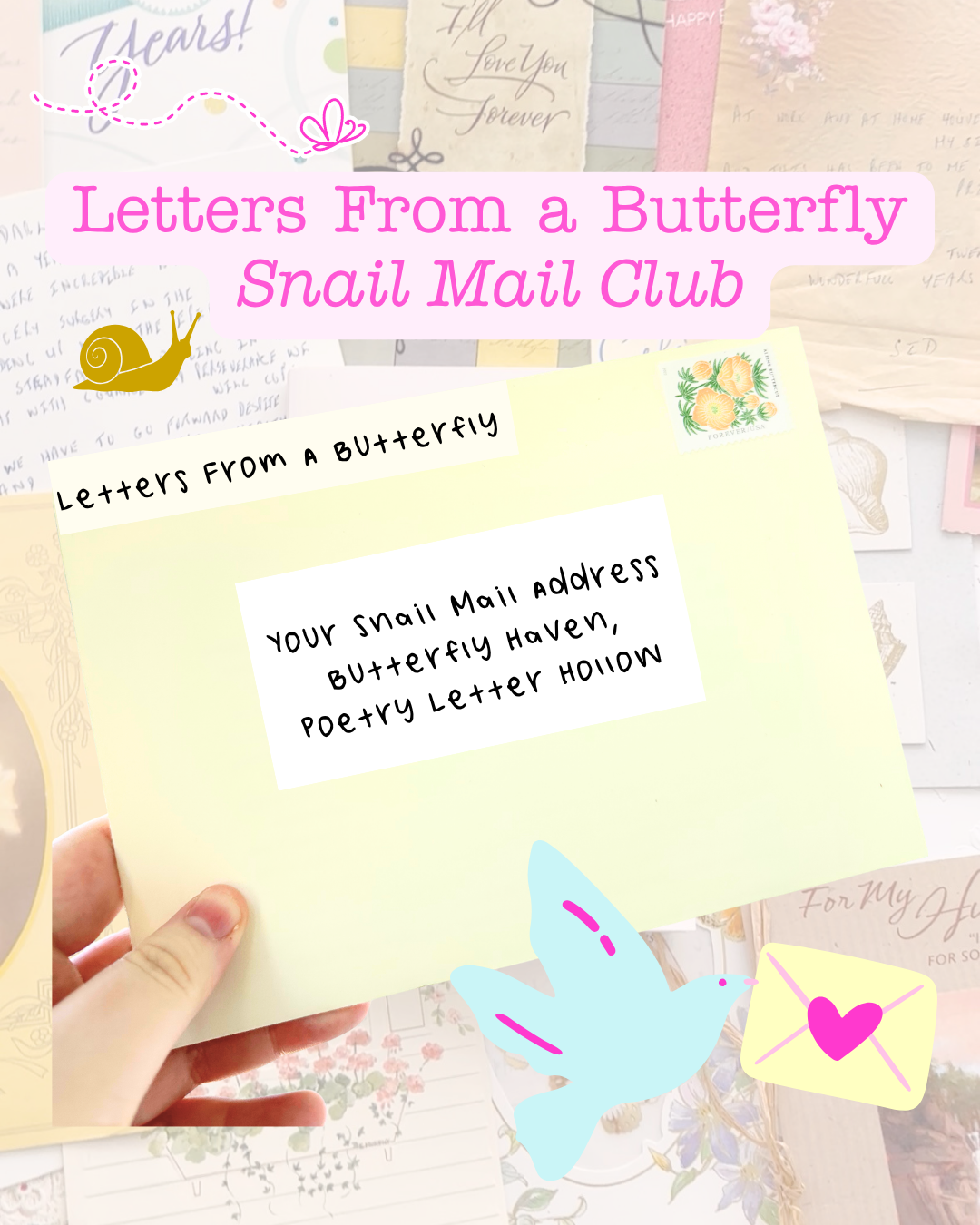 Letters From A Butterfly